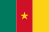 Flag of Cameroon